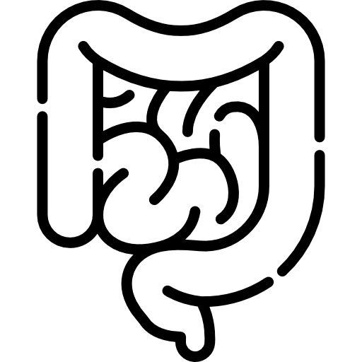 Appendix
