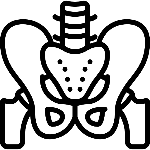 Pelvic